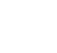 ingenuity-logo-white